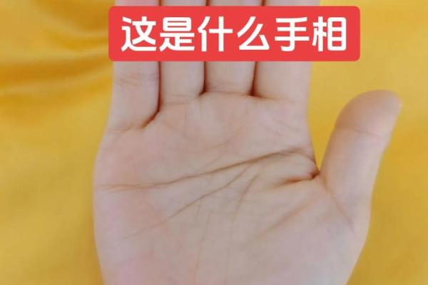 掌中的命运：深度解析断掌人的命格特征与人生轨迹