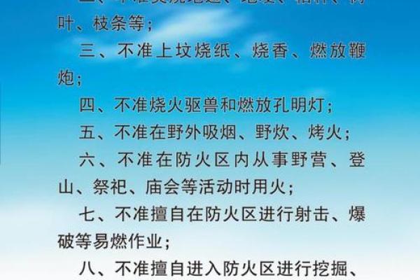 探索森林火命的深奥哲学与自然之美