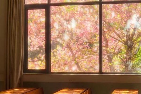 探索辛巳日主的命理奥秘:耀眼人生与内在智慧的交织 探索辛巳日主的命理奥秘:耀眼人生与内在智慧的交织