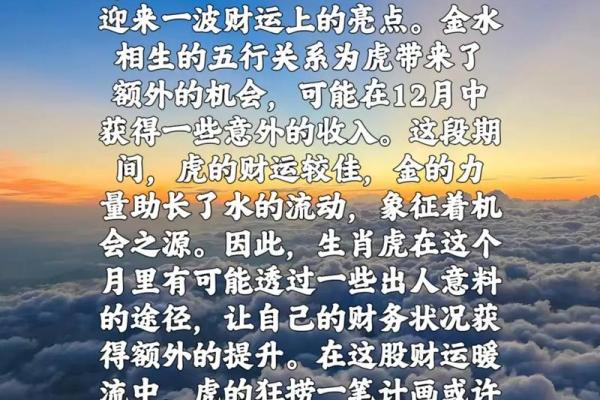 2023年的命格解析：揭示你的运势与人生方向