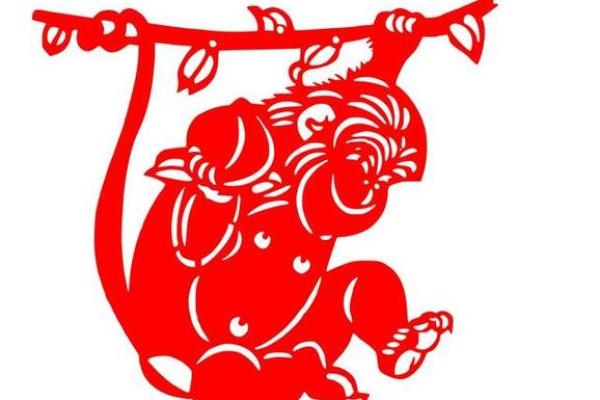 1980年出生的人属猴,了解属猴人的命运与性格特征! 1980年出生的人属猴,了解属猴人的命运与性格特征!