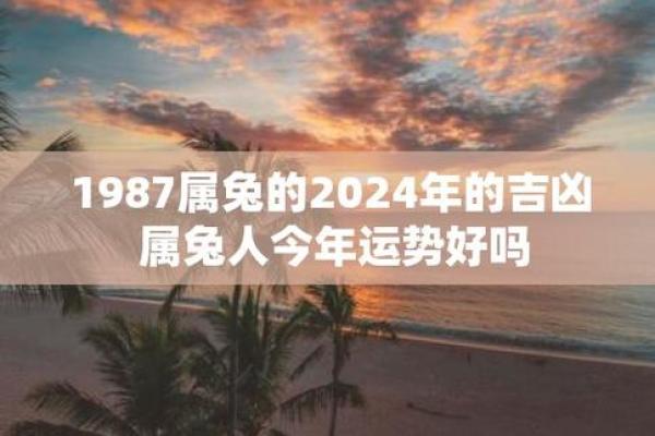 探寻1988年属兔龙的命运与人生秘籍