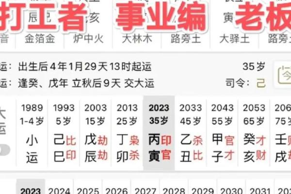 探索命理之奥秘：丁丑、辛亥、己巳的命运解析与启示