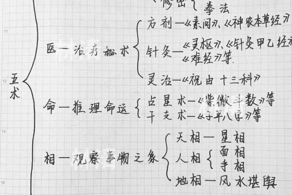 探讨钗钏金命男命五行缺失及其影响解析