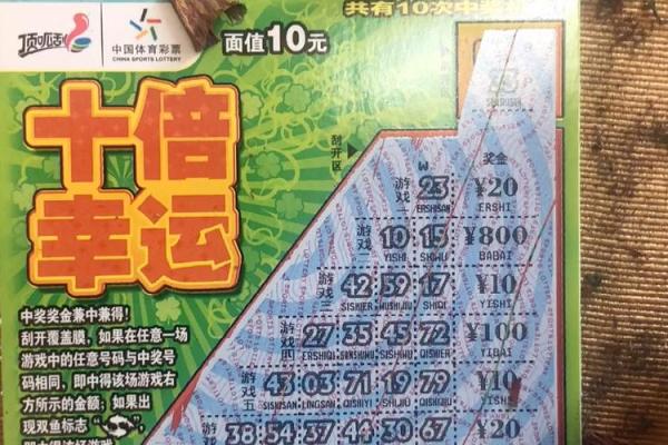 1976年龙年的命运与性格解析，探索属于你的幸运之路