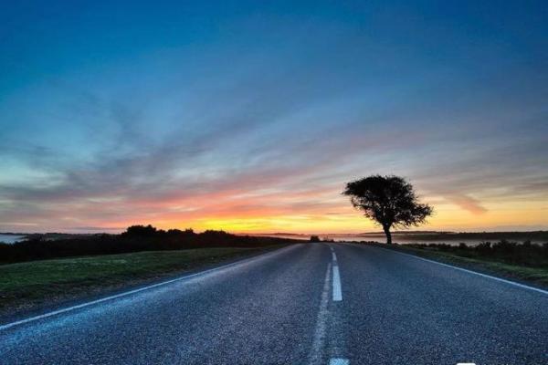 1968年属什么？揭秘这一年背后的命运轨迹与风采