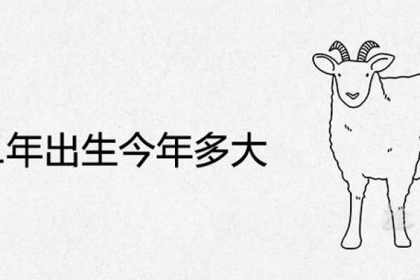 1991年羊年十月出生的人命运解析与生活智慧