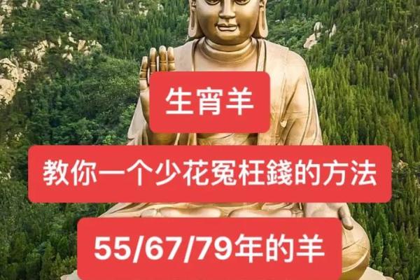 1991年羊年十月出生的人命运解析与生活智慧