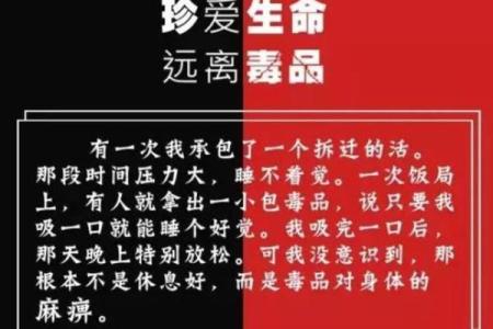 王麻子的传奇冒险：一个普通人的不平凡故事