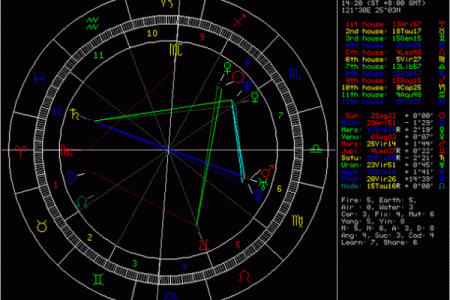 探秘寡命命盘：如何通过命理识别不易成婚者