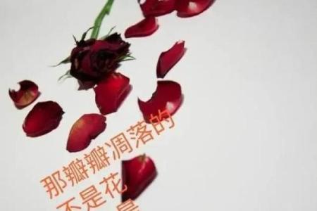 无辜嘴女孩的命运解析：深藏于微笑背后的故事