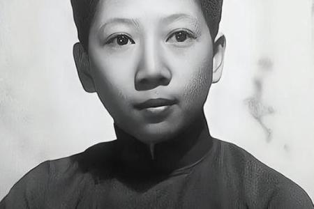 探索一九八一年：木鸡之年与命运的奇妙交织