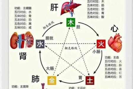 探秘命理数字与五行属性的奥秘，解读你的人生轨迹！