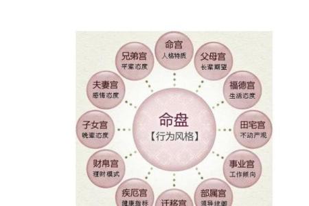 命格中的特殊命格：揭示命运与个体的奇妙关系