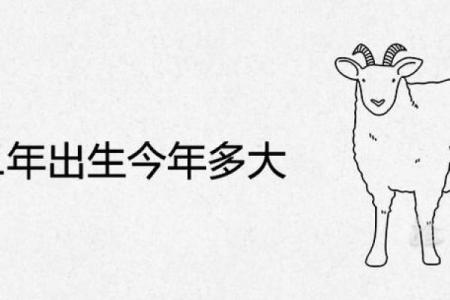 1991年羊年十月出生的人命运解析与生活智慧