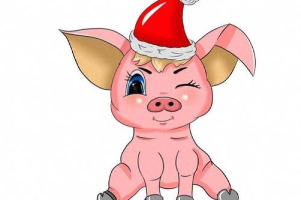 2019年属猪宝宝的命运解析:正月出生的他们注定不同凡响! 2019年属猪宝宝的命运解析:正月出生的他们注定不同凡响!