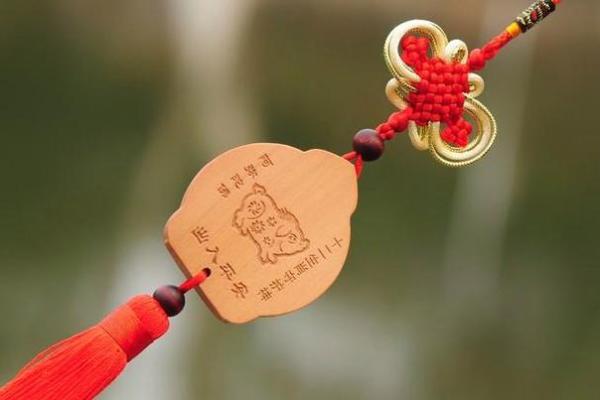 2019年属猪宝宝的命运解析:正月出生的他们注定不同凡响! 2019年属猪宝宝的命运解析:正月出生的他们注定不同凡响!