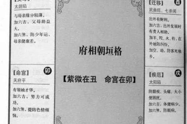 紫薇天子的命运解码：如何借助紫微斗数掌控人生方向