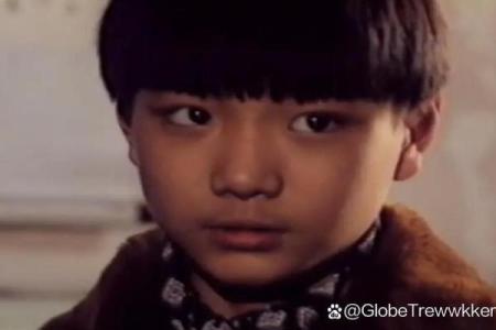 2003年出生的男孩命运解析：他们的事业与人生轨迹如何？