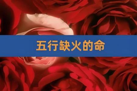 1980年命五行解析：探寻属于你的命运之路