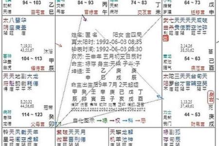 紫薇天子的命运解码：如何借助紫微斗数掌控人生方向