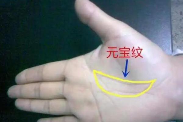 手掌长手指短，命运与性格的奥秘解析