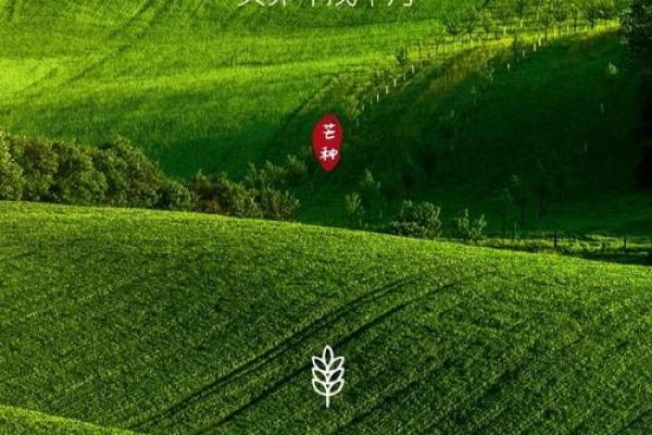 日元戊午丙辰时的命理解析与人生指导