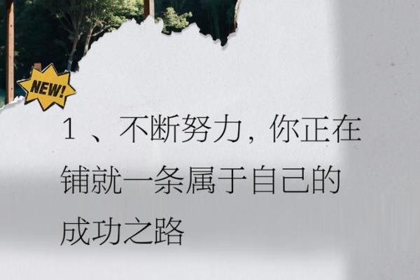 拼什么命啊：人生真正的追求与奋斗之路