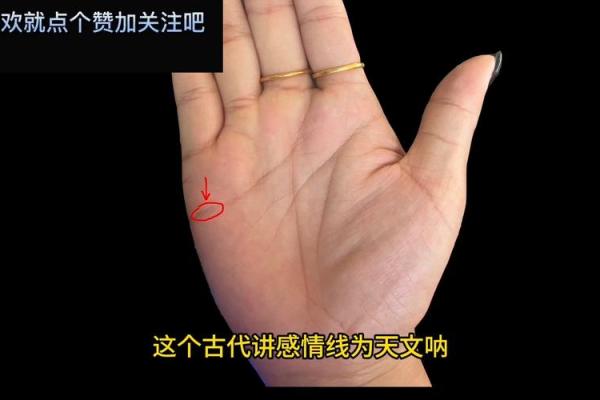 少奶奶命与富婆命:谁的生活更令人羡慕? 少奶奶命与富婆命:谁的生活更令人羡慕?