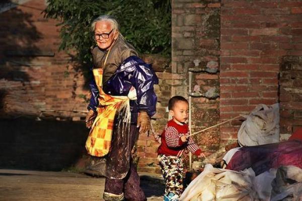 82岁属什么生肖 什么命运的深度解析 82岁属什么生肖 什么命运的深度解析