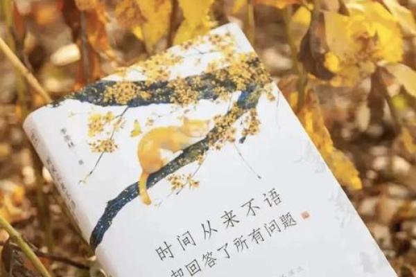 30岁意外死亡的背后,是命运的无常与人生的无畏 30岁意外死亡的背后,是命运的无常与人生的无畏