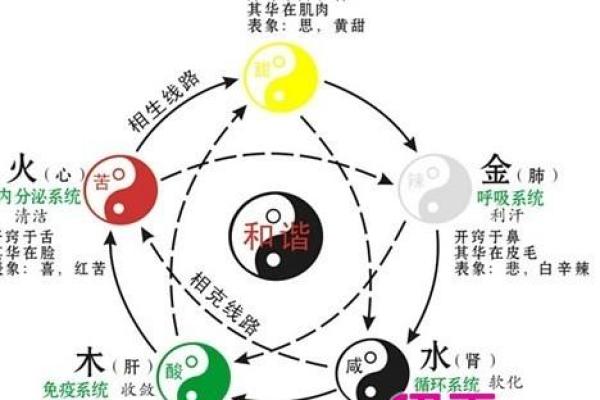 属蛇命格木命的深刻解读与人生启示 属蛇命格木命的深刻解读与人生启示