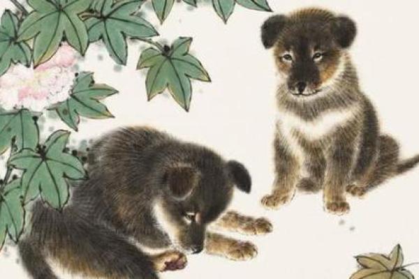 属狗亥时出生女孩命理解析:温柔灵动,独特魅力展现人生旅程! 属狗亥时出生女孩命理解析:温柔灵动,独特魅力展现人生旅程!