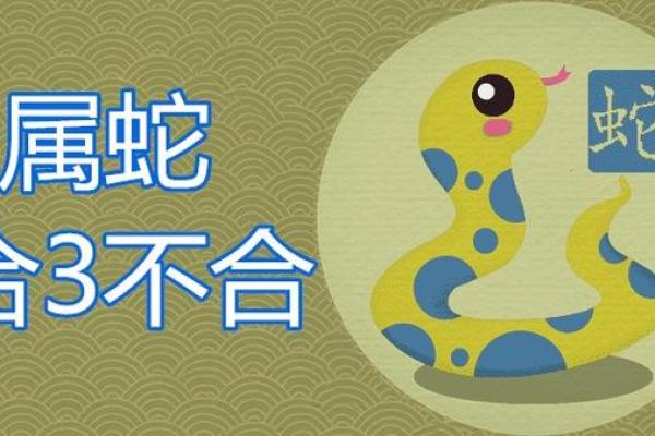 属蛇命理分析:三种蛇的命运与人生轨迹 属蛇命理分析:三种蛇的命运与人生轨迹