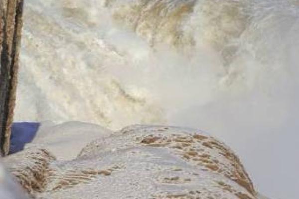 82年正月十六出生的人命理解析与人生启示 82年正月十六出生的人命理解析与人生启示