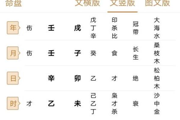 女命喜外财旺相之命的深层解析与生活启示 女命喜外财旺相之命的深层解析与生活启示