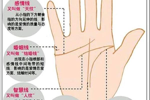 你知道你的命运吗?从手相看命不好的人都有哪些特征! 你知道你的命运吗?从手相看命不好的人都有哪些特征!