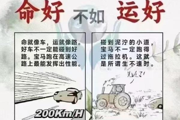 男命正财与女命伤官:命理中的性别之道与财富哲学 男命正财与女命伤官:命理中的性别之道与财富哲学