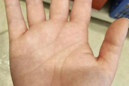 手掌长手指短，命运与性格的奥秘解析