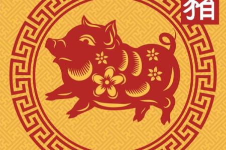 属猪人的五行与命运解析：打开你的命理大门！