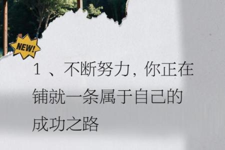 拼什么命啊：人生真正的追求与奋斗之路