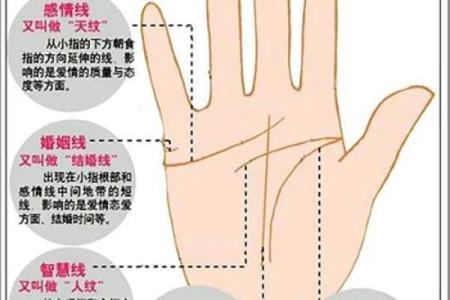 你知道你的命运吗？从手相看命不好的人都有哪些特征！