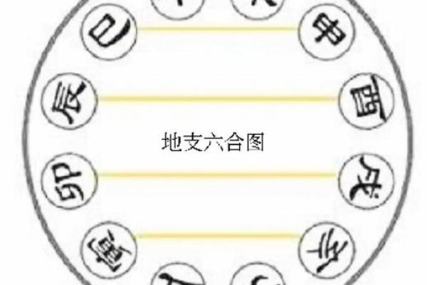 1663年出生的命理解析:天干地支与人生运势的关联 1663年出生的命理解析:天干地支与人生运势的关联