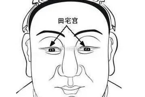 男人断眉面相解析:命理、性格与运势的奥秘 男人断眉面相解析:命理、性格与运势的奥秘