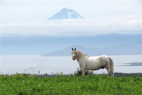 深入探讨路旁土命的色彩忌讳与运势提升技巧 深入探讨路旁土命的色彩忌讳与运势提升技巧