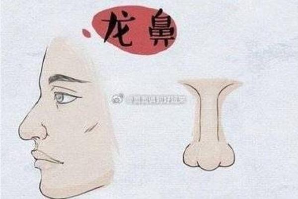 女生有鼻子是什么命:福气与挑战并存的独特人生 女生有鼻子是什么命:福气与挑战并存的独特人生