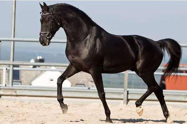 身体残缺与命格的潜在联系:解读命运的多维视角 身体残缺与命格的潜在联系:解读命运的多维视角