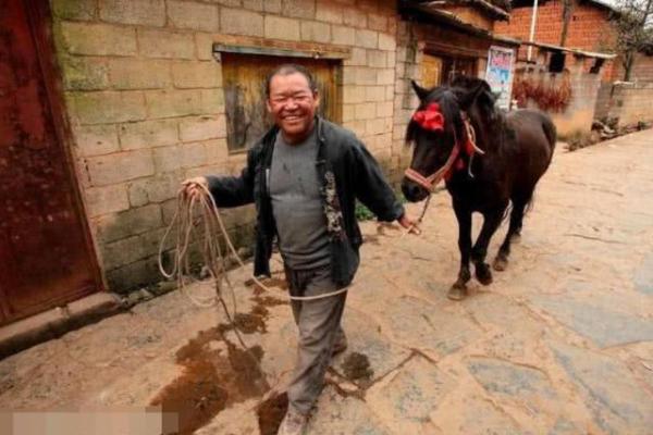 牛年男孩命理解析:揭示命中缺失的元素与补救之法 牛年男孩命理解析:揭示命中缺失的元素与补救之法