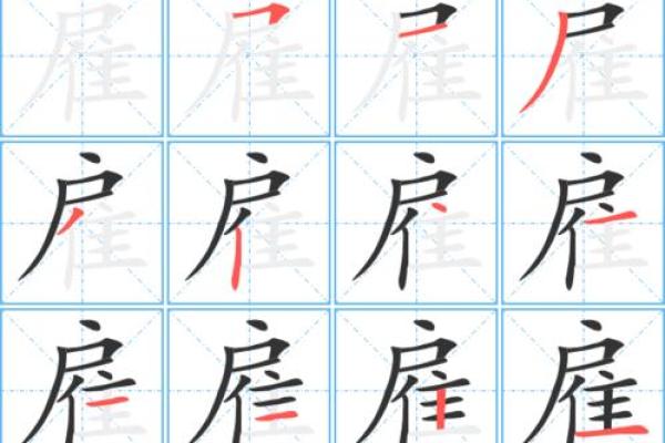 命字的结构与部首:探寻生命的深意与哲学 命字的结构与部首:探寻生命的深意与哲学