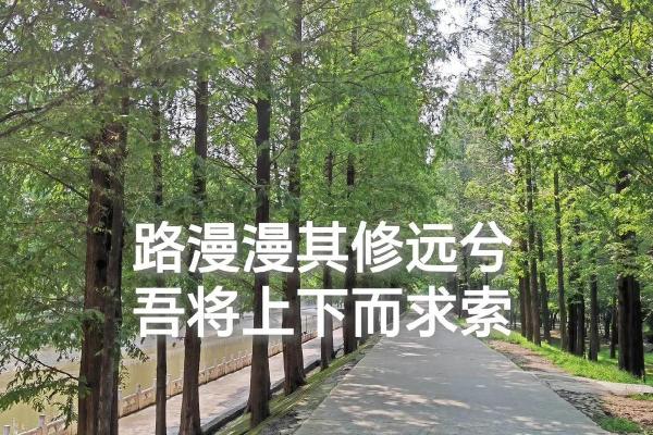 人生最难判断的命运与选择,探寻内心的真正方向 人生最难判断的命运与选择,探寻内心的真正方向